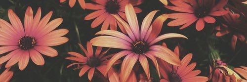 Kay_Kay57's profile banner image