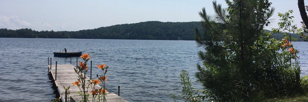 Calli Barclay banner