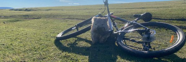 StevenTsoukatos Profile Banner