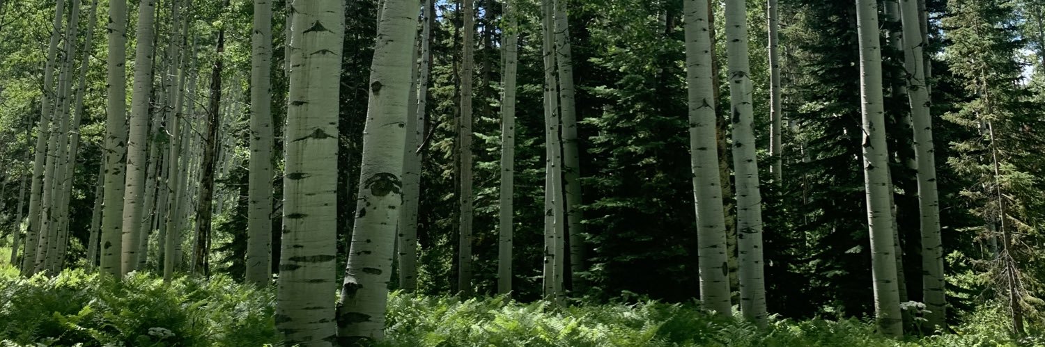 LukowiczRenee's profile banner image