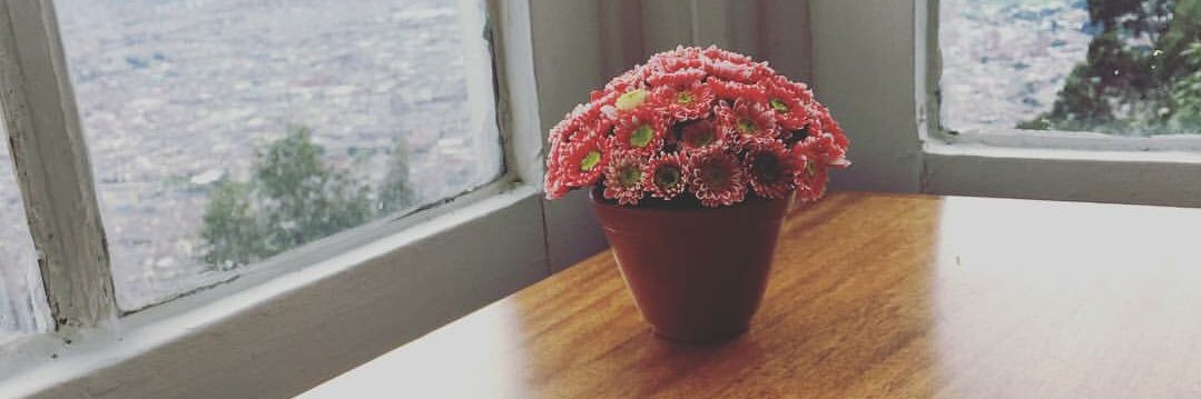 paula_um's profile banner image