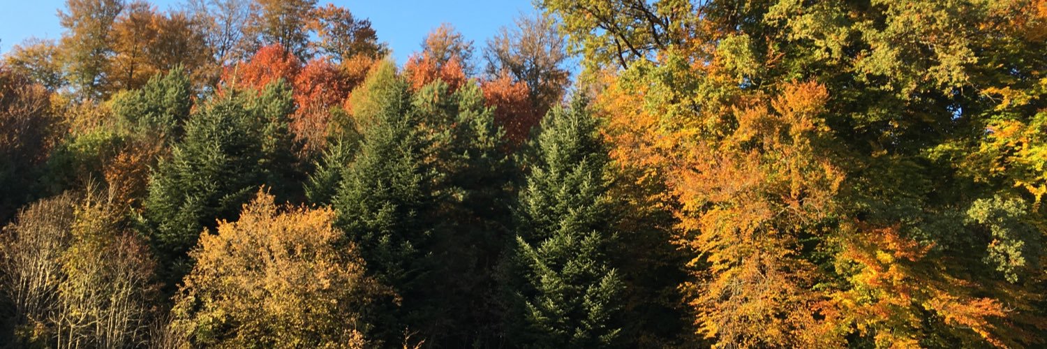 Pedro Marques-Vidal banner