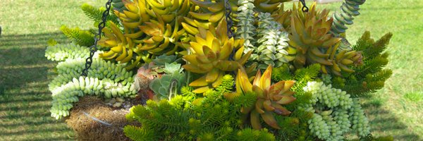 Herb2468's profile banner image