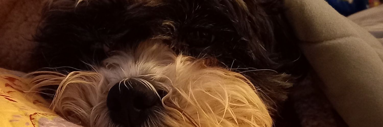__McCruz's profile banner image