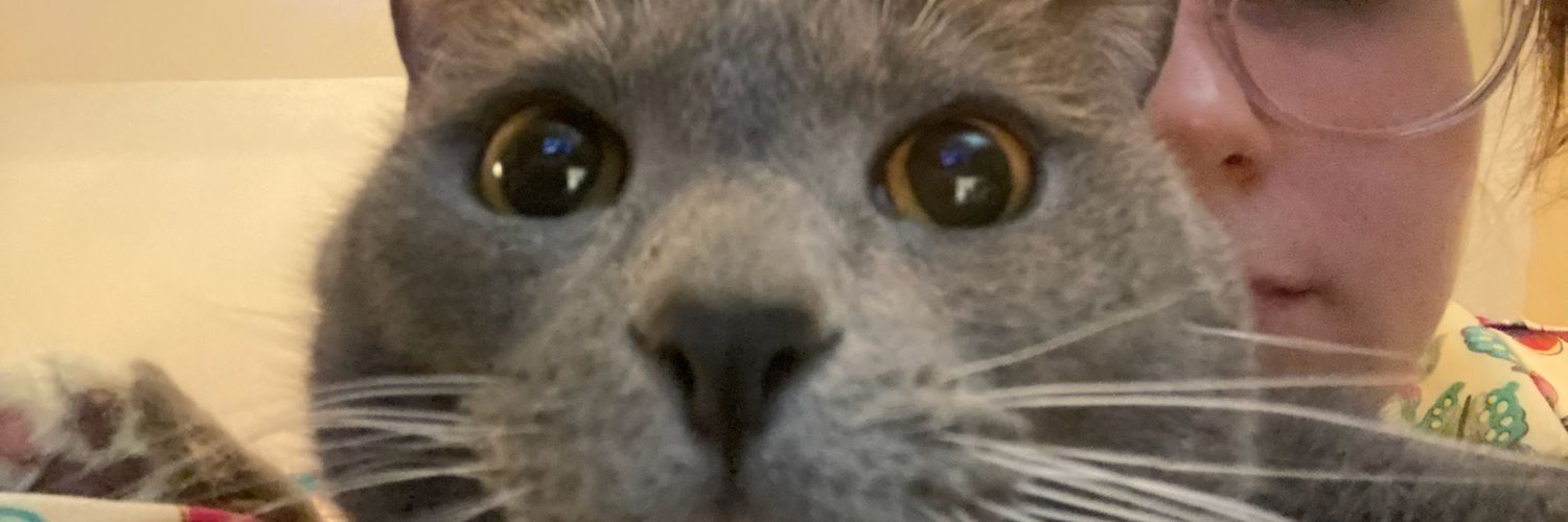 deathwarlock's profile banner image