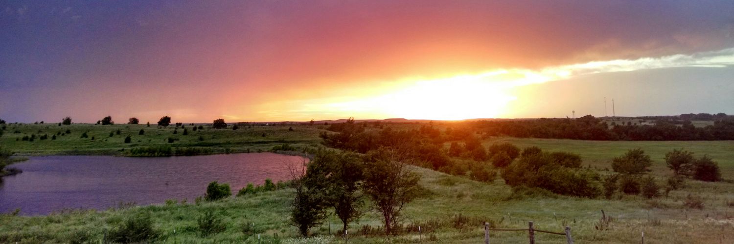 BirdAshlyn4's profile banner image