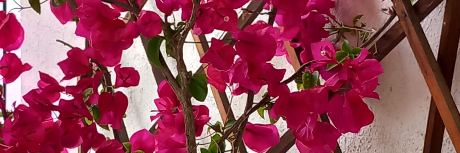 SkgGio's profile banner image
