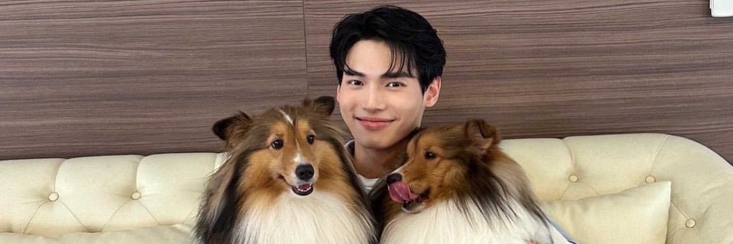 🐰🥕Honey_WIN🥕🐰 banner