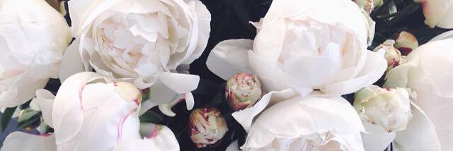 gabbycargill's profile banner image