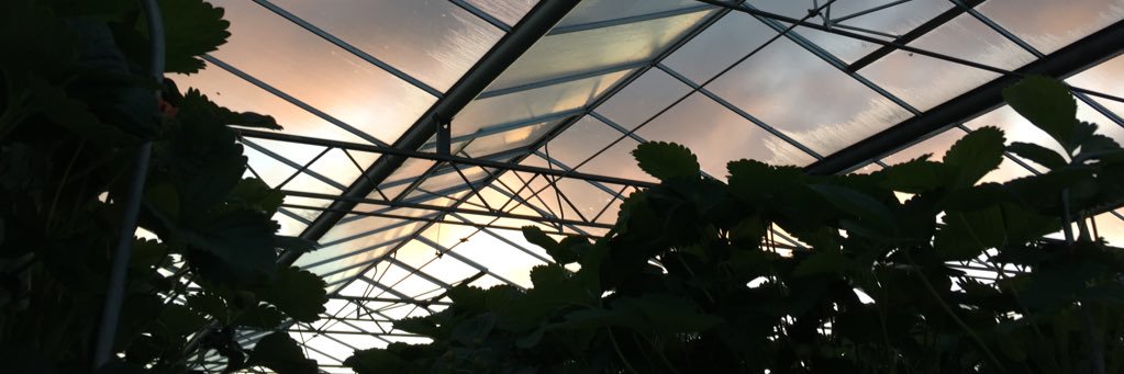 _suzfranks's profile banner image