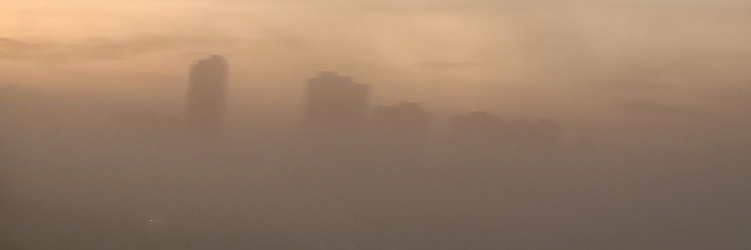 Partha Srinivasan banner