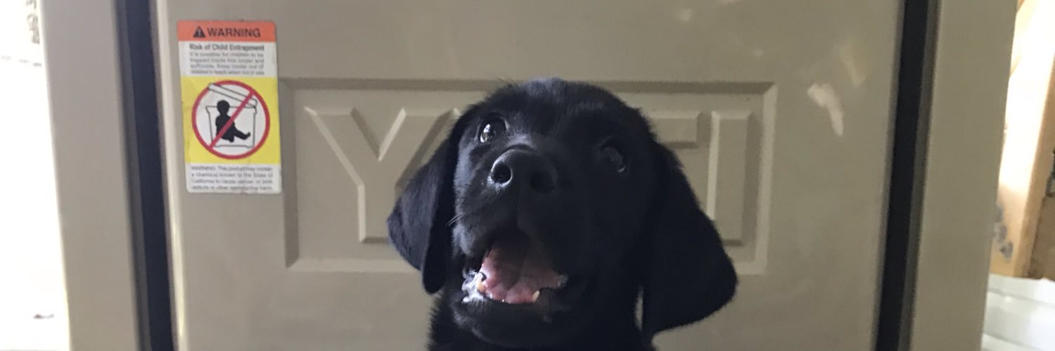tylerharris01's profile banner image