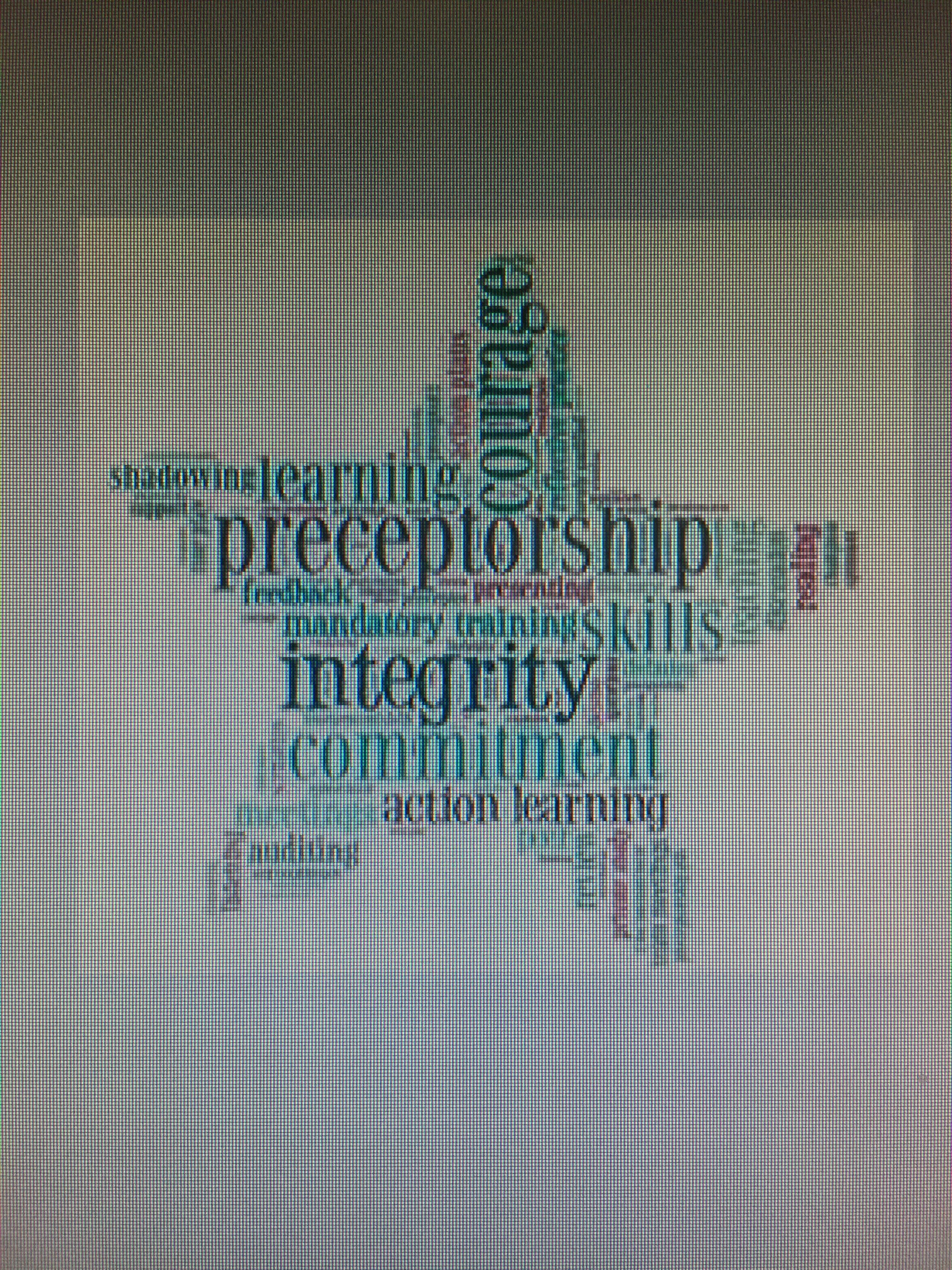 Preceptorship banner