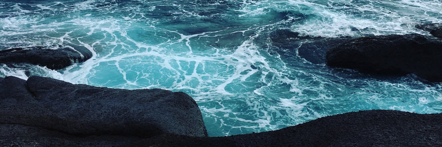 carsten vandevelde banner