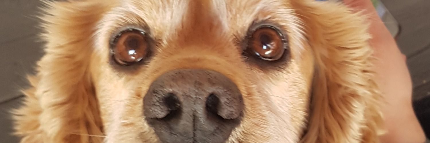 memiin_23's profile banner image