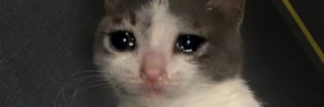 gabbszz_'s profile banner image