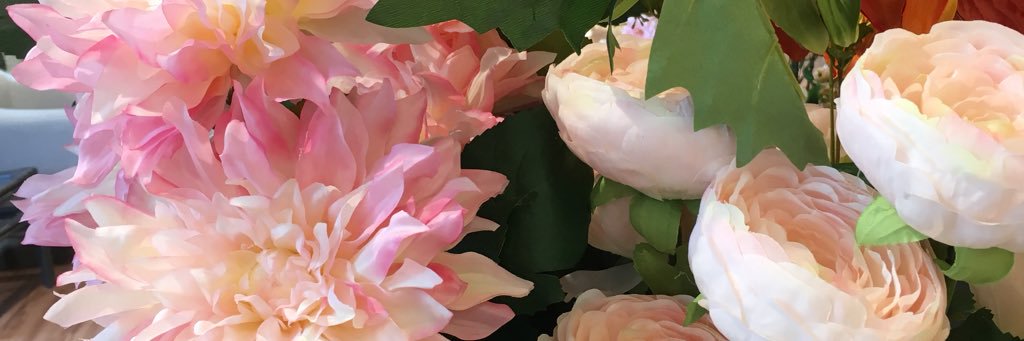 NOEL_724's profile banner image