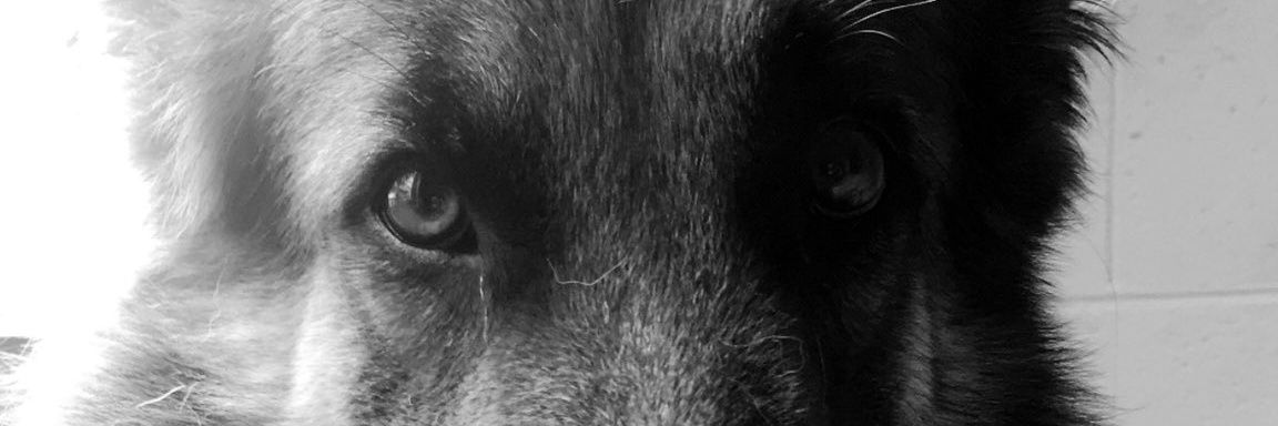 AlexisGS007's profile banner image