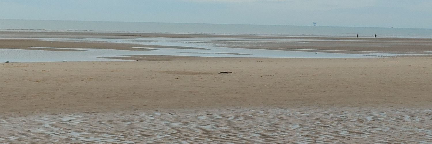 Angela Record banner