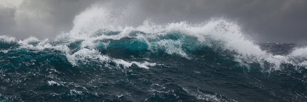 norsensis Profile Banner
