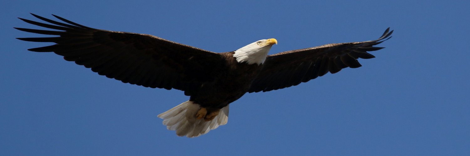 @EdgewaterBoroNJ banner