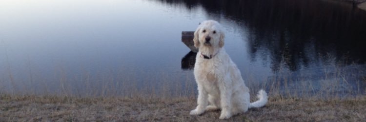 rscanlon99's profile banner image