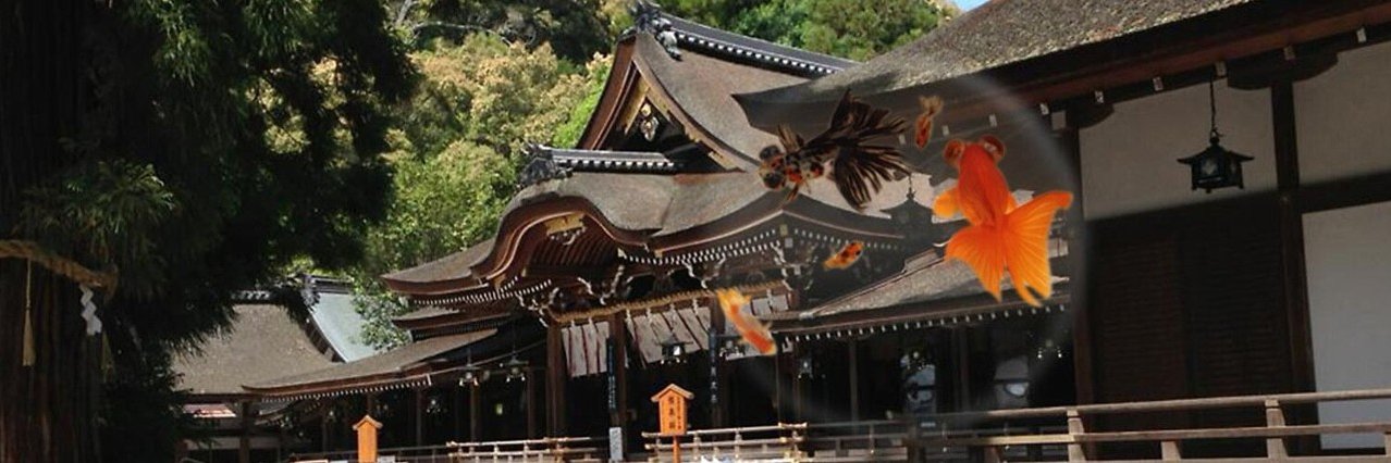 石田まさひろ : 看護師・参議院議員（比例・全国区） banner