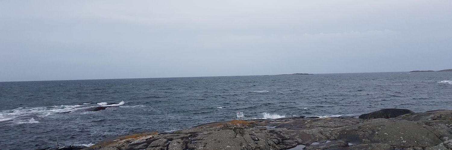 Patta_pace's profile banner image