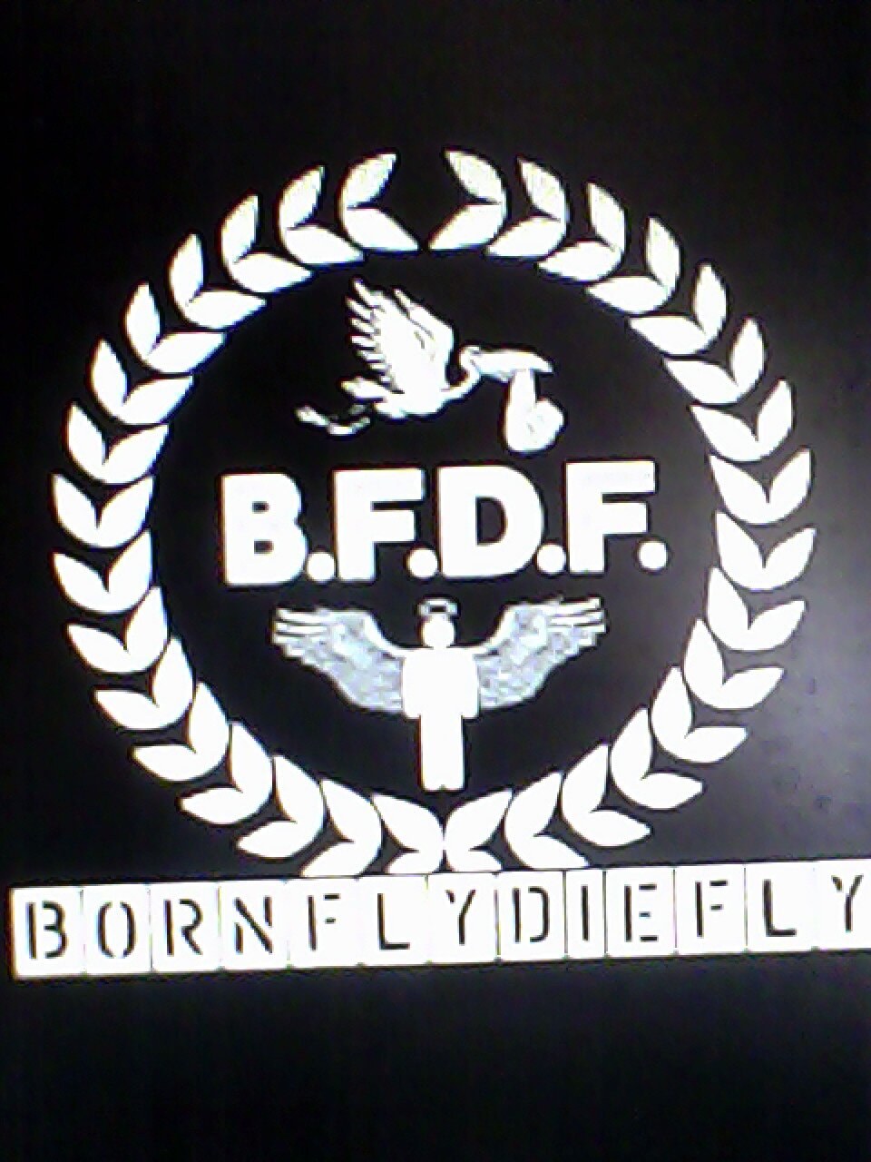 BornFlyDieFly's profile banner image
