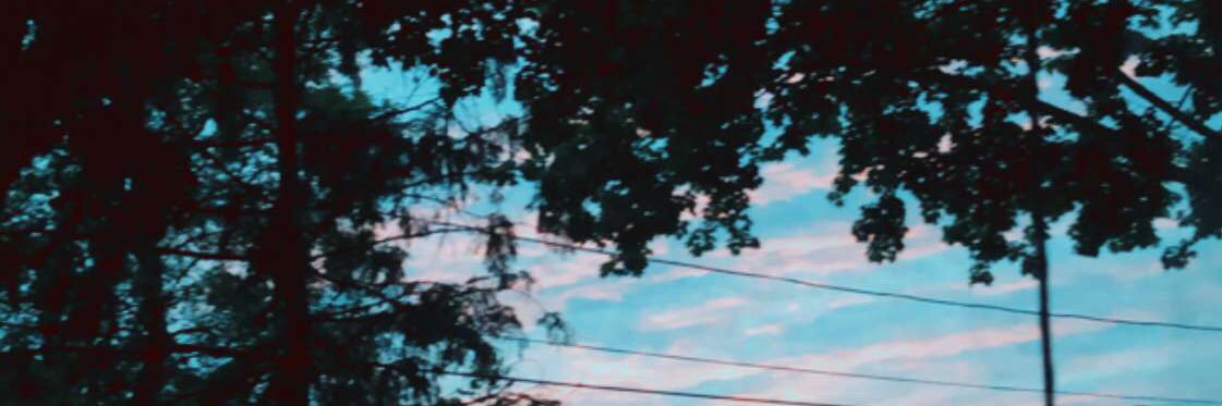 throwafight's profile banner image