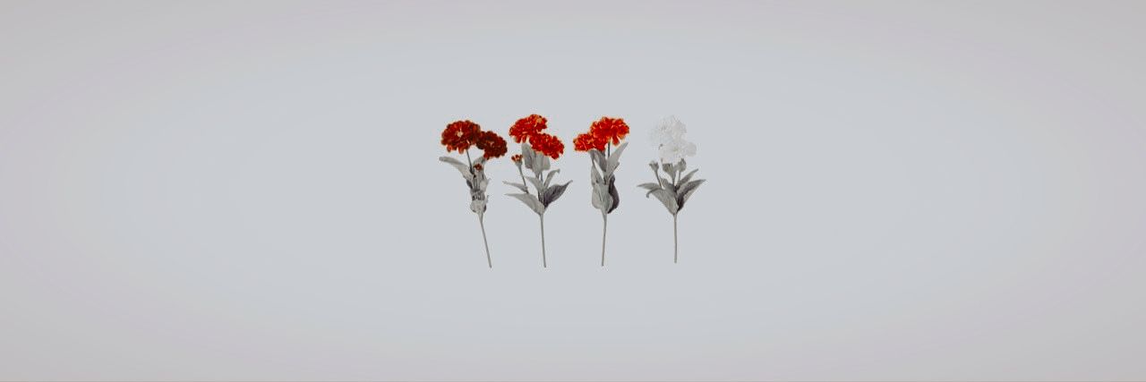 fran_milito's profile banner image