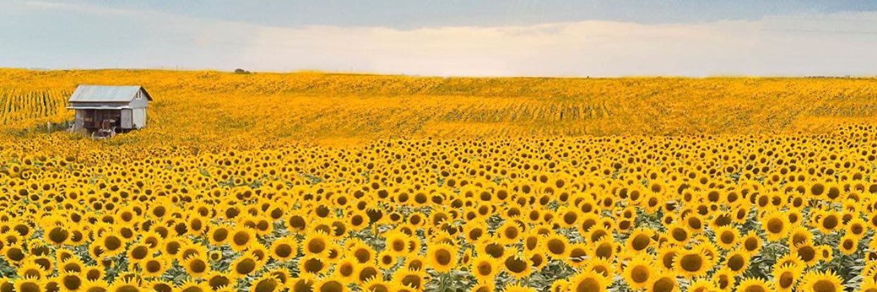 igves_'s profile banner image