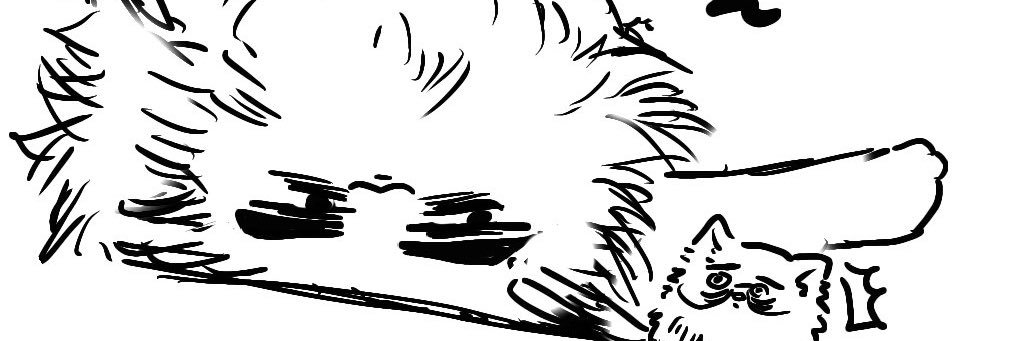 Slt_04's profile banner image