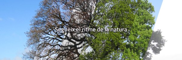 RitmeNatura Profile Banner