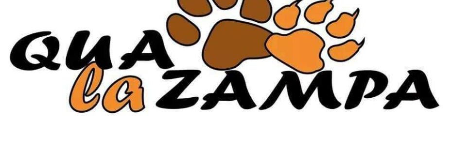 Qualazampalecco's profile banner image