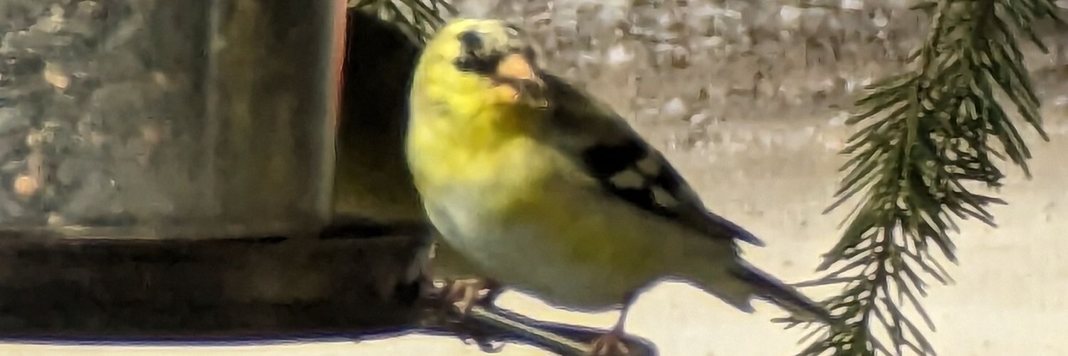 Melarchivals's profile banner image