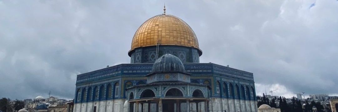 AyaRefat15's profile banner image