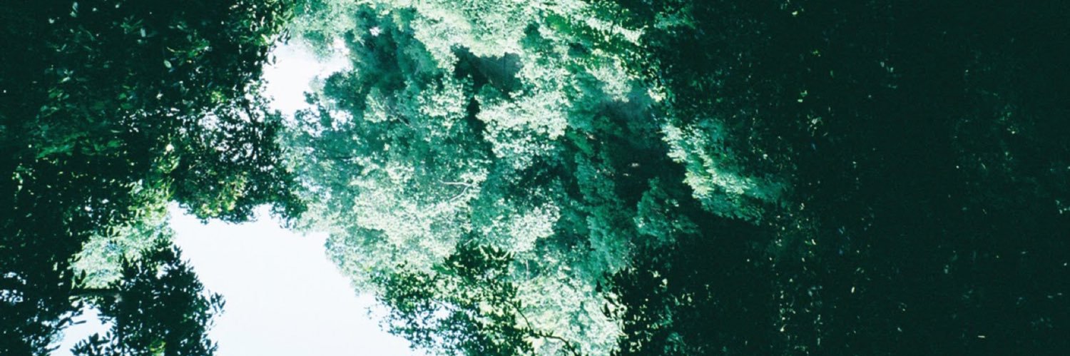 いこぷーる banner