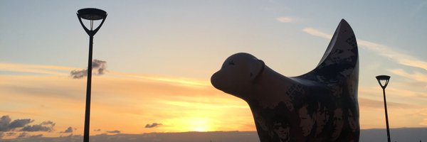 patsy_irizar Profile Banner