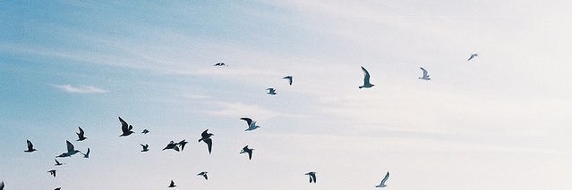 italyms's profile banner image