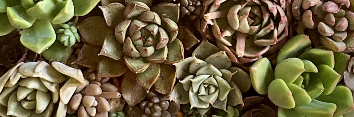 wsra's profile banner image