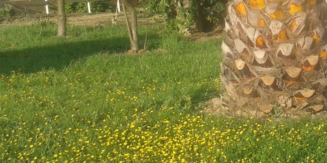 mceciliamercado's profile banner image