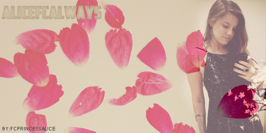 AliceFCalways's profile banner image