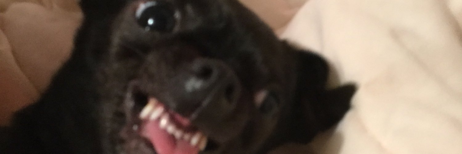 0CatP00P's profile banner image
