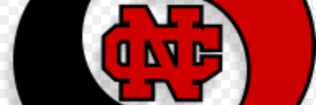 Debbie DeBlasio banner