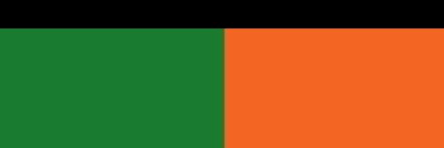 Unofficial Venezia FC banner