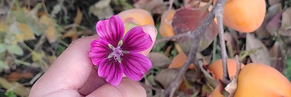 Naiknelofar788 Profile Banner