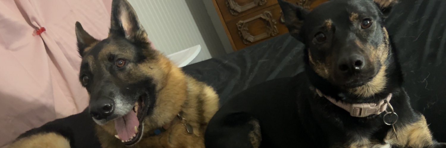 jenna_austerman's profile banner image
