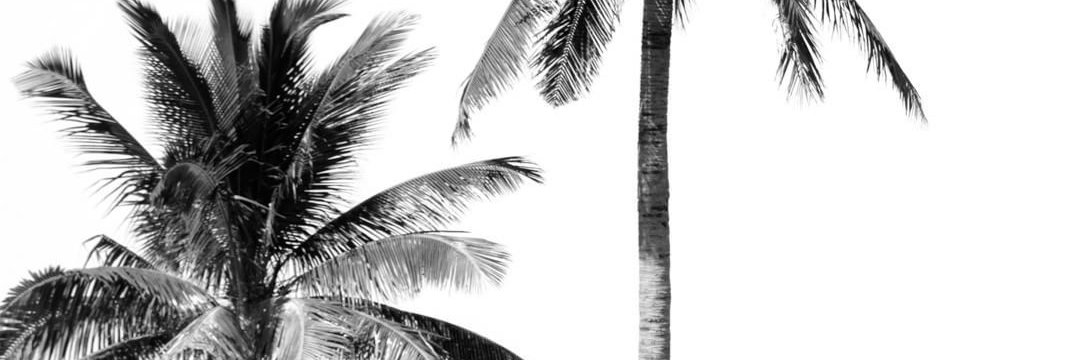 Take_a_move's profile banner image