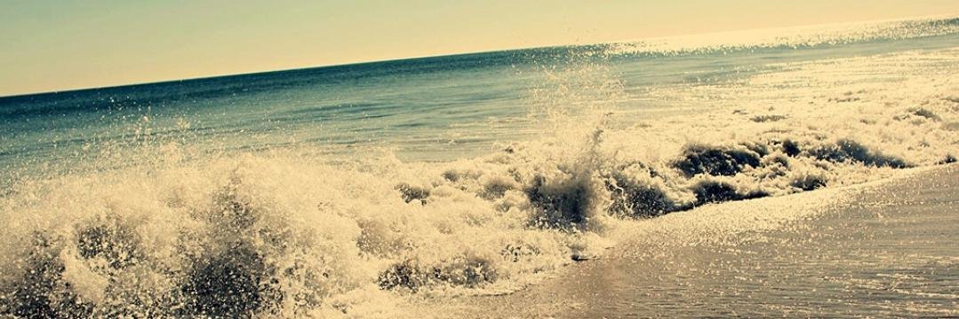 IVIE_DAVIS's profile banner image